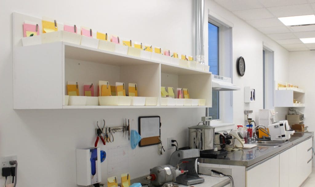 Fit Right Denture Clinic Fredricton, NB