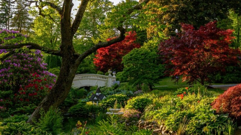 Halifax, NS photo by Jan Walter Luigi