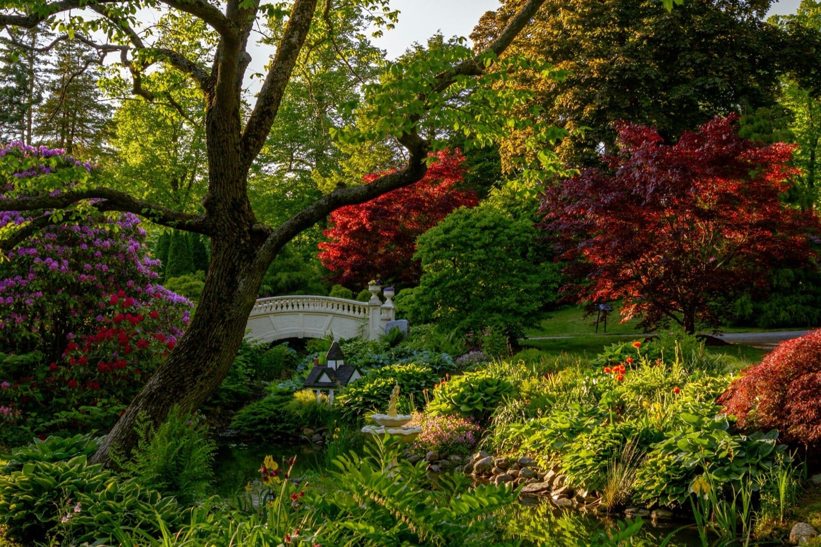 How to choose a dentist in Halifax, NS (2025 guide)