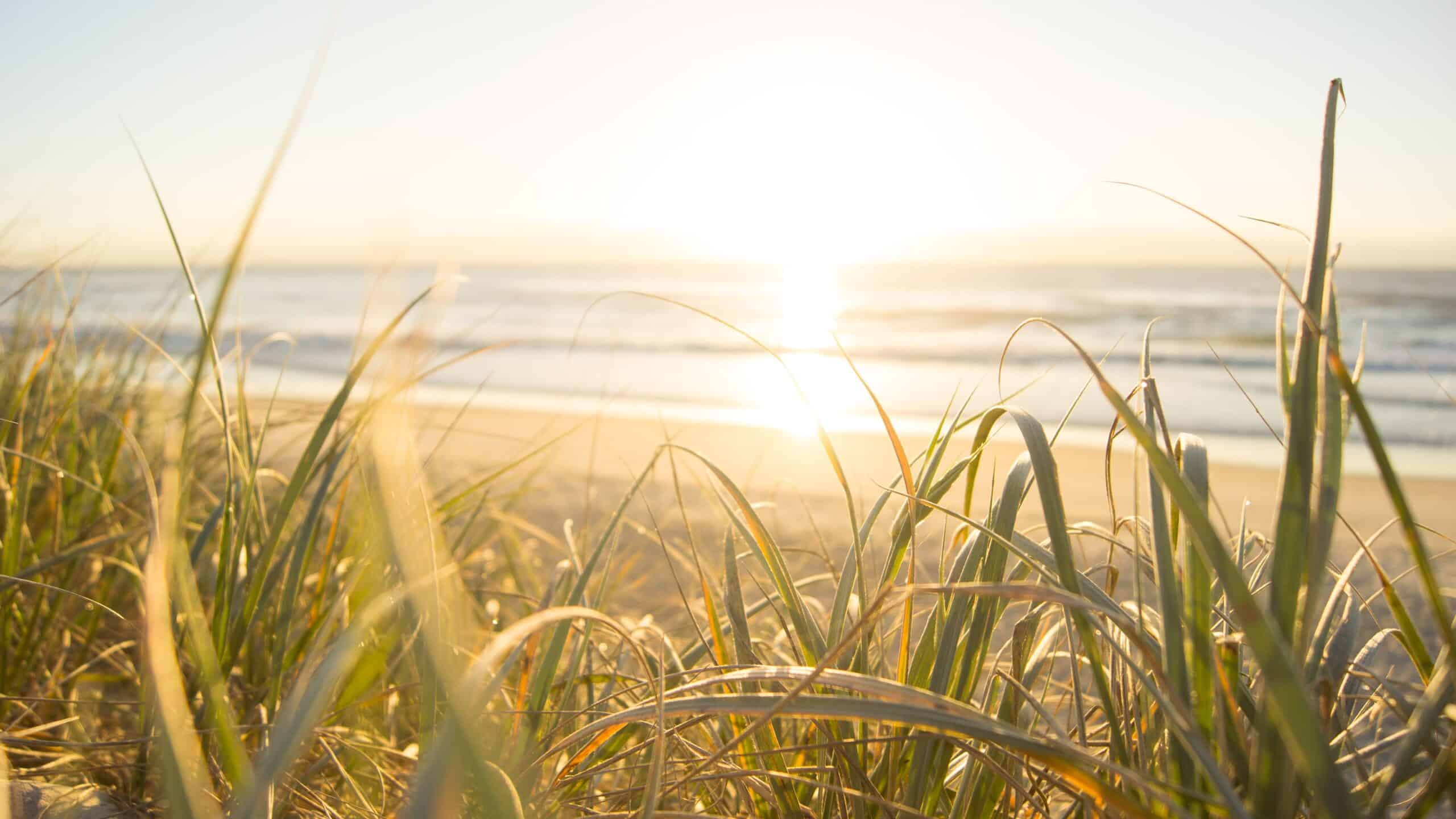 Community Marketing: Connecting Your Practice to Your Neighbourhood